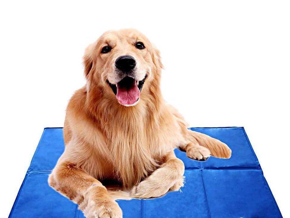 Self-Cooling Dog Mat