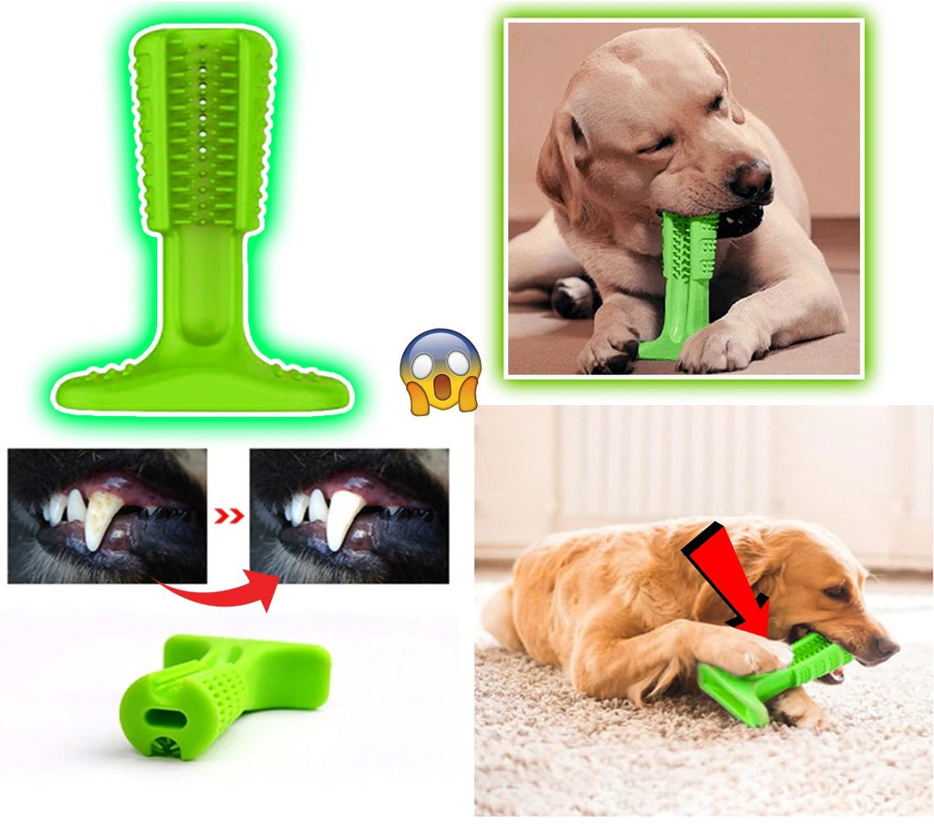 Toothbrush for Dogs