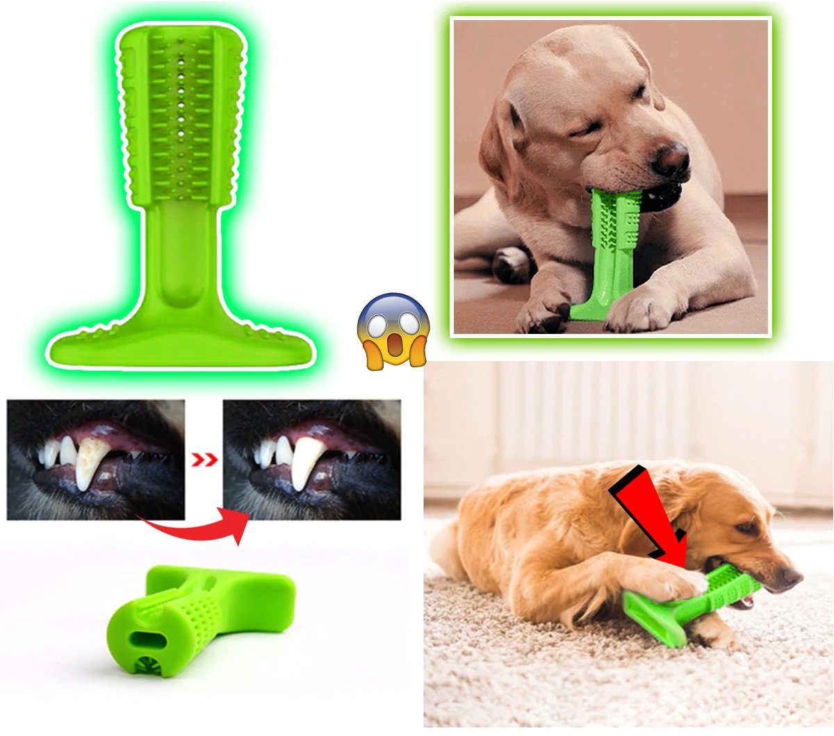 Toothbrush for Dogs